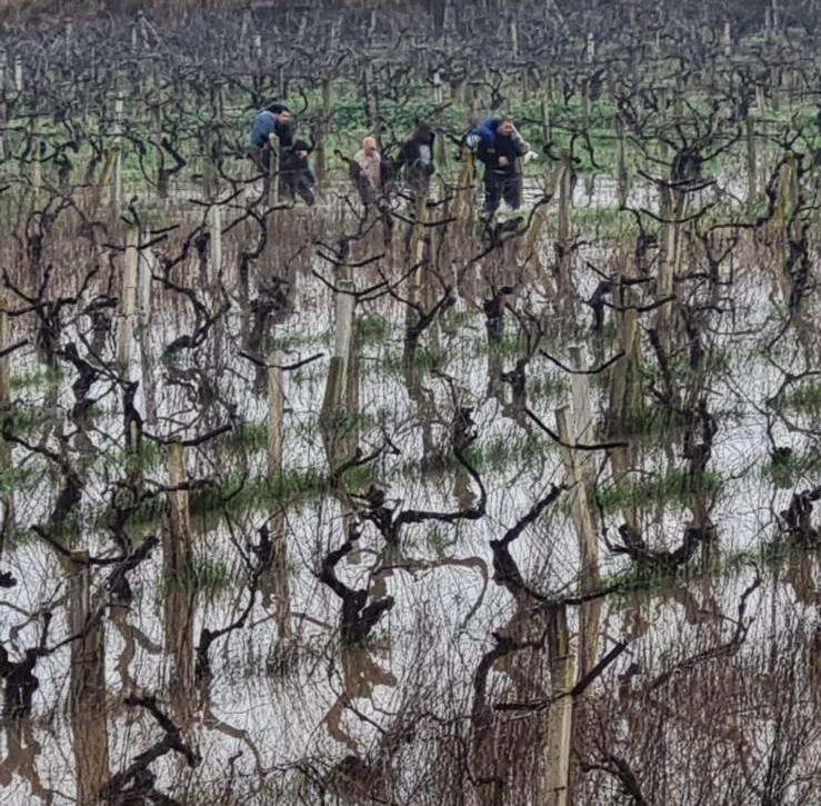 Manisa'da bir aile selde mahsur kaldı itfaiye imdada yetişti 4